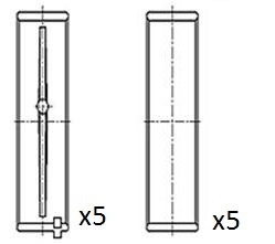 Crankshaft Bearing